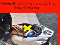 [Ảnh] 