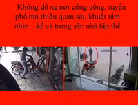 [Ảnh] 