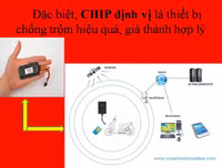 [Ảnh] 