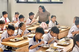 Không được lựa chọn đơn vị cung cấp thực phẩm bếp ăn trường học chỉ dựa trên tiêu chí giá thấp