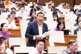 Đại biểu Quốc hội đề nghị làm rõ, thay thế cụm từ “chung cư có thời hạn” khi sửa Luật Nhà ở