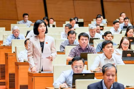 Chủ tịch HĐND TP Hà Nội: Phải nhìn rõ khả năng cân đối vốn trước khi quyết định đầu tư dự án lớn, kéo dài