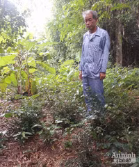 Câu chuyện có thực, đầy xúc động sau bức thư kỳ lạ của một liệt sĩ