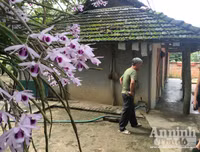 Độc đáo vườn lan huyền thoại có một không hai ở Tuyên Quang