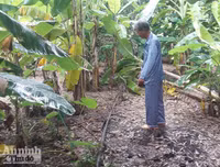 Câu chuyện có thực, đầy xúc động sau bức thư kỳ lạ của một liệt sĩ