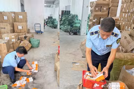 Phát hiện 2 cơ sở sản xuất, kinh doanh hàng hóa có dấu hiệu giả mạo