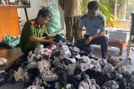 Phát hiện hơn 5.400 sản phẩm giả mạo nhãn hiệu nổi tiếng