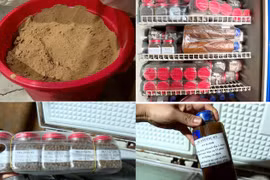 Mở điện thờ, tự chế thuốc khám chữa bệnh để chiếm đoạt tiền tỷ