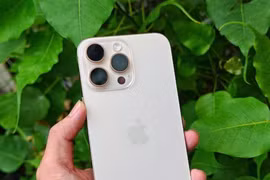 iPhone 16 series cũ với giá bán dễ tiếp cận trong năm 2026