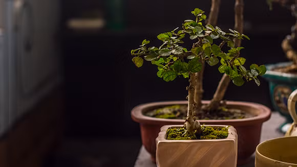 Không khí xưa qua chợ phiên đồ cũ, đổ cổ ảnh 12