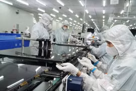 Chính sách nhân tài và con đường phát triển đất nước trong kỷ nguyên mới