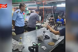 Cận cảnh dây chuyền sản xuất gần 50.000 đôi giày giả nhãn hiệu trị giá hơn 100 tỷ đồng