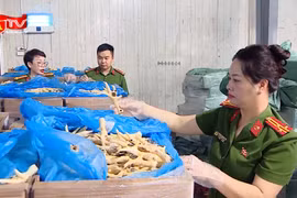 Cận cảnh 260 tấn chân gà hết hạn, bốc mùi trong kho hàng của đường dây buôn lậu