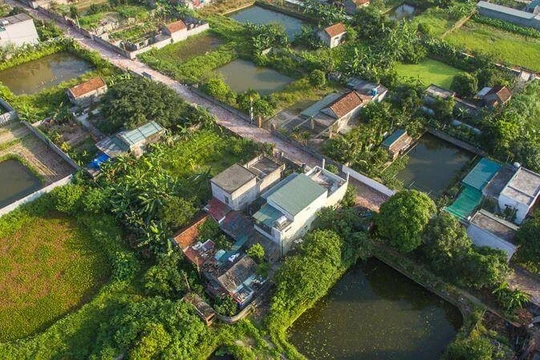 Chuyển đất nông nghiệp sang thổ cư: Đề xuất giảm 70% tiền sử dụng đất