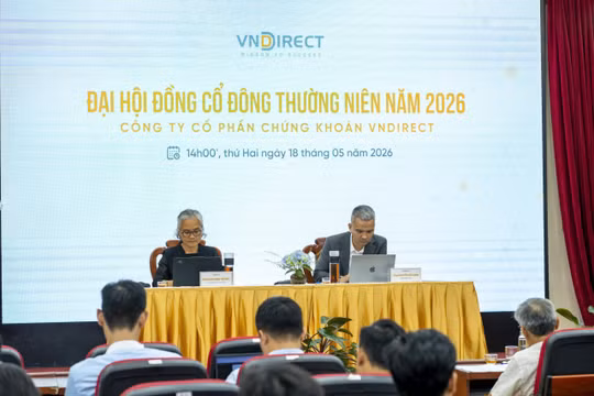 ĐHĐCĐ Chứng khoán VNDIRECT: Mục tiêu lợi nhuận 3.018 tỷ đồng, trái phiếu Trung Nam không còn đáng ngại
