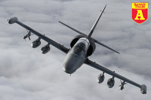 Máy bay cường kích L-159