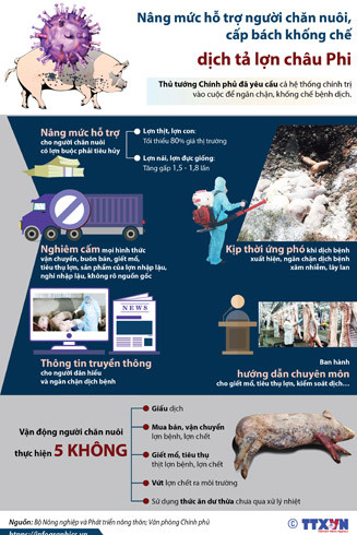 Tả lợn không gây bệnh trên người, nhưng vẫn phải cảnh báo ngăn ngừa mối nguy hiểm ảnh 1