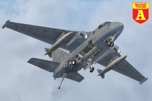 Máy bay săn ngầm S-3 Viking.