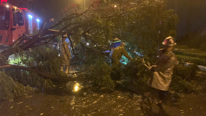 Khắc phục sự cố cây đổ trên đường Văn Tiến Dũng