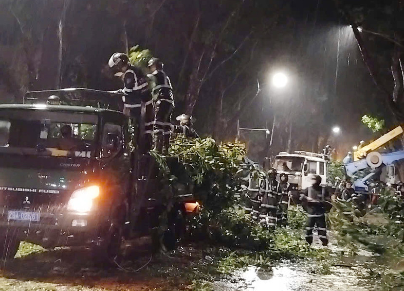 Dầm mình trong đêm mưa lớn khắc phục sự cố cây đổ Dầm mình trong đêm mưa lớn khắc phục sự cố cây đổ