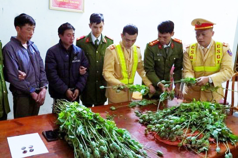 Lực lượng Công an huyện Xín Mần, tỉnh Hà Giang bắt giữ 2 đối tượng vận chuyển cây và thuốc phiện Lực lượng Công an huyện Xín Mần, tỉnh Hà Giang bắt giữ 2 đối tượng vận chuyển cây và thuốc phiện