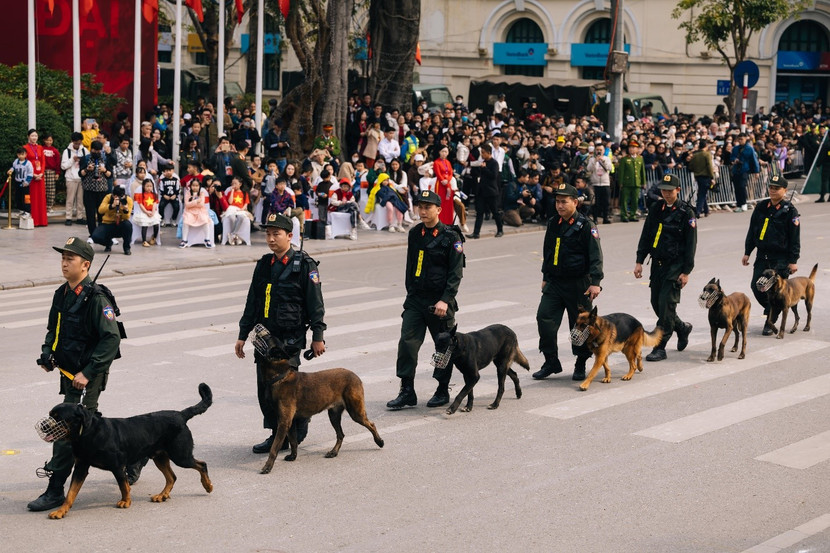 Đội hình chó nghiệp vụ chiến đấu có mặt trong chương trình tại TP. HCM