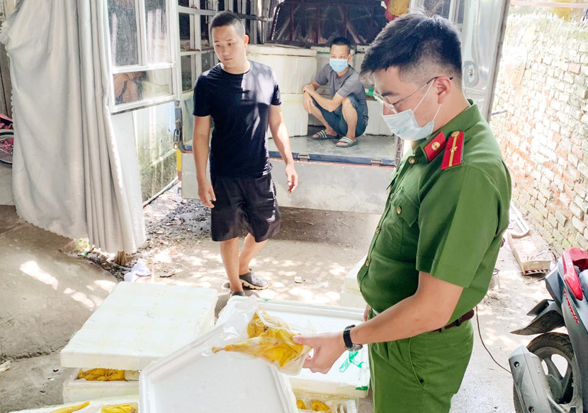 Hơn nửa tấn gà ủ muối không có nguồn gốc xuất xứ đã bị lực lượng chức năng phát hiện