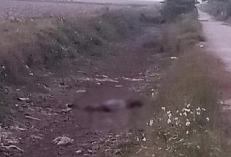 Hiện trường thi thể nạn nhân được người dân phát hiện Hiện trường thi thể nạn nhân được người dân phát hiện