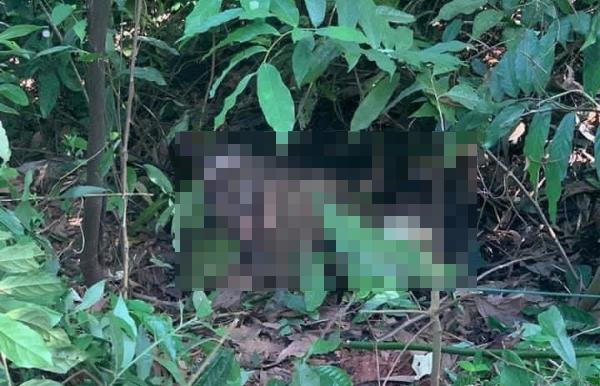 Thi thể quấn chăn và dây trên đồi Cao, huyện Thủy Nguyên nghi là nam sinh mất tích cách đây 1 tuần