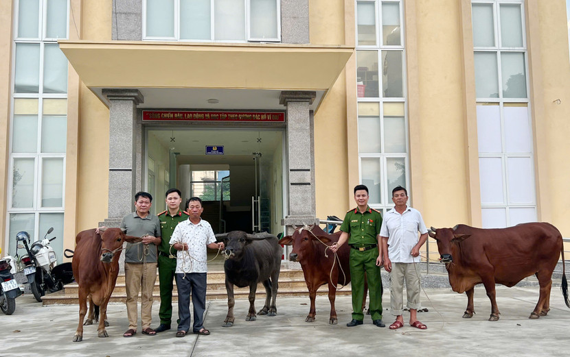 Công an xã Hữu Bằng bàn giao trâu bò cho gia đình các bị hại