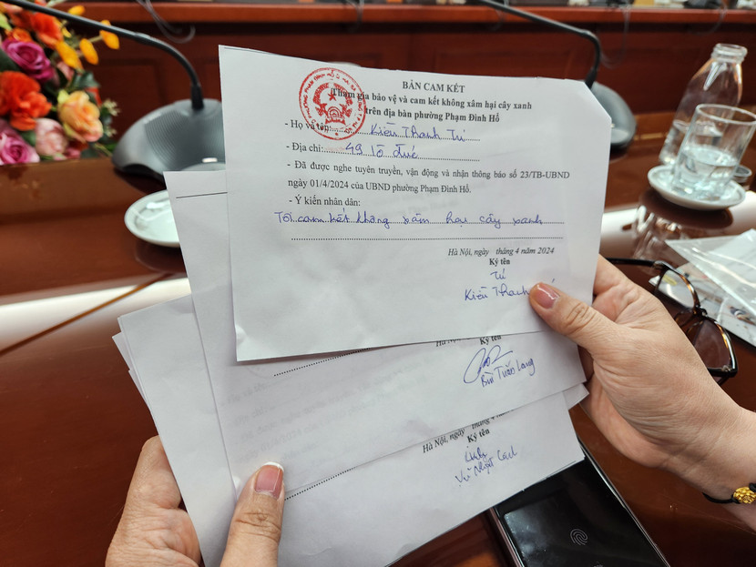 UBND phường Phạm Đình Hổ đề nghị nhân dân ký cam kết không hại cây xanh