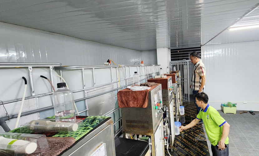 Anh Hà Văn Nam đã tạo công ăn việc làm cho nhiều người lao động