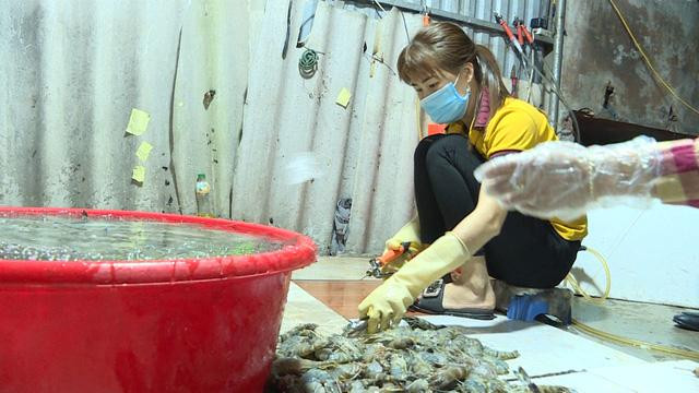 Nhân viên cơ sở bơm tạp chất vào tôm