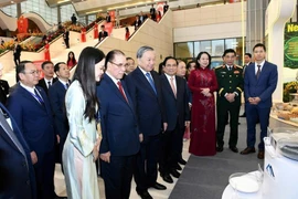 Khẳng định vị thế trí tuệ Việt trên bản đồ vật liệu công nghệ cao toàn cầu