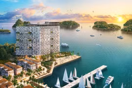 Lý do sức hút Cát Bà chưa bao giờ hạ nhiệt