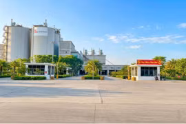 Công ty Xi măng Long Sơn: Khẳng định vị thế, tạo niềm tin vững chắc trên thị trường