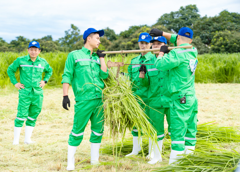 Sau gần chục phút “đổ mồ hôi sôi nước mắt”, số cỏ gom được chỉ vỏn vẹn 36kg