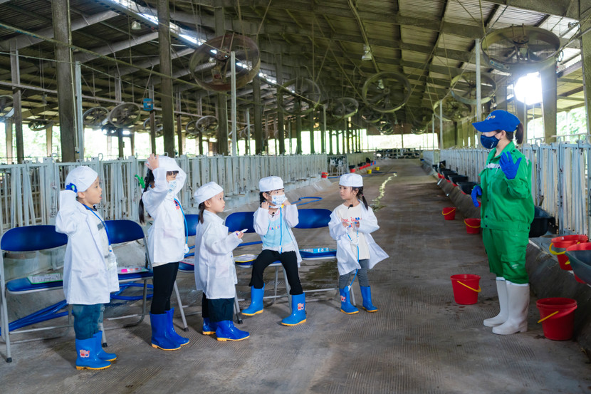 Các bé Dứa, Audi, Cati, MinHee và Bean vô cùng hào hứng khi lần đầu được gặp “những người bạn bốn chân”