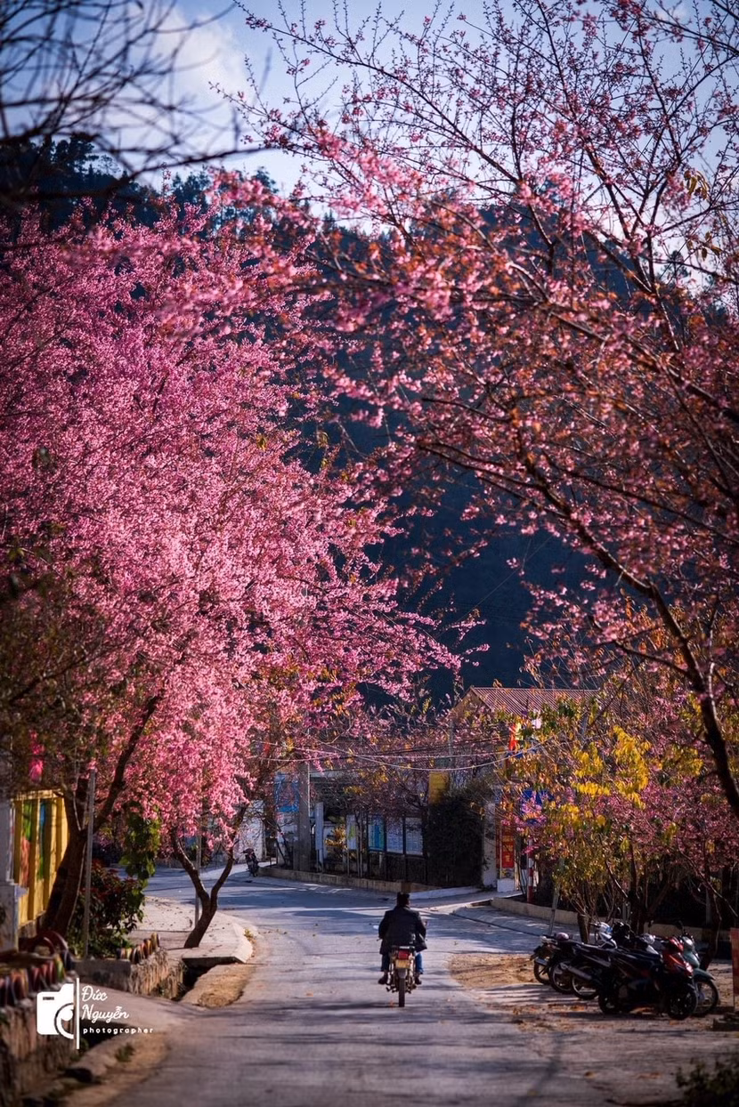 Mùa xuân ở Hà Giang (ảnh: Đức Nguyễn)