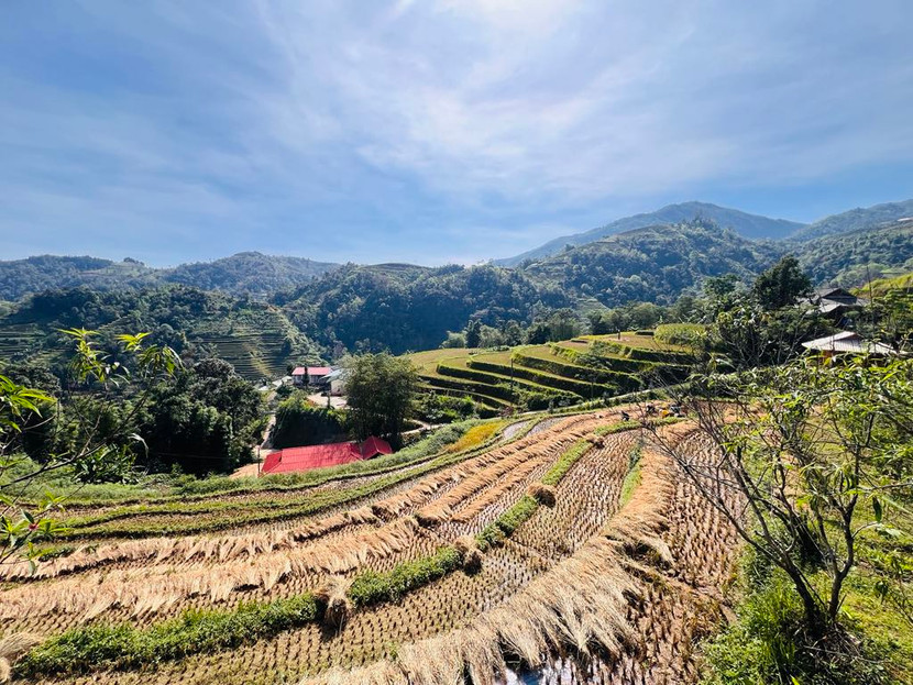 Ruộng bậc thang Bản Luốc, Hoàng Su Phì