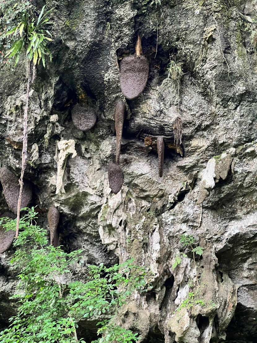 Hang ong khoái ở Hoài Khao điểm đến không thể bỏ qua của du khách Hang ong khoái ở Hoài Khao điểm đến không thể bỏ qua của du khách