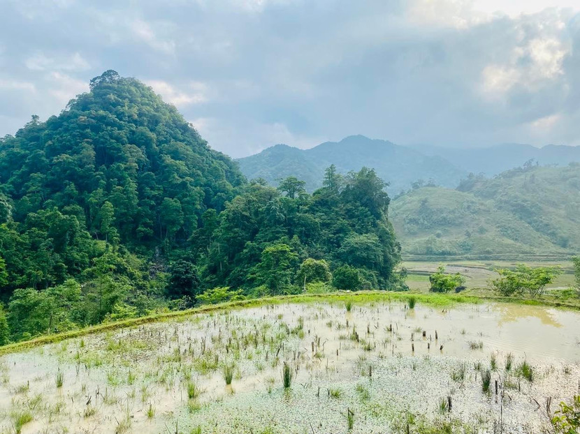 Những thửa ruộng bậc thang đang vào mùa nước đổ Những thửa ruộng bậc thang đang vào mùa nước đổ