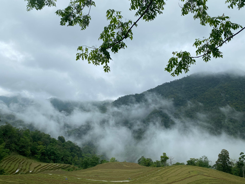 Đến với Hoài Khao, du khách có cơ hội đi xuyên qua đoạn đường dài 3,5km, con đường thông từ xã Quang Thành sang xã Thành Công, đoạn đường chỉ có mây, núi và rừng nguyên sinh Đến với Hoài Khao, du khách có cơ hội đi xuyên qua đoạn đường dài 3,5km, con đường thông từ xã Quang Thành sang xã Thành Công, đoạn đường chỉ có mây, núi và rừng nguyên sinh