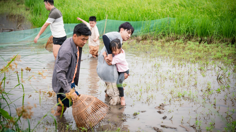 Neko Lê phải bế Cati xuống ruộng bắt cá Neko Lê phải bế Cati xuống ruộng bắt cá