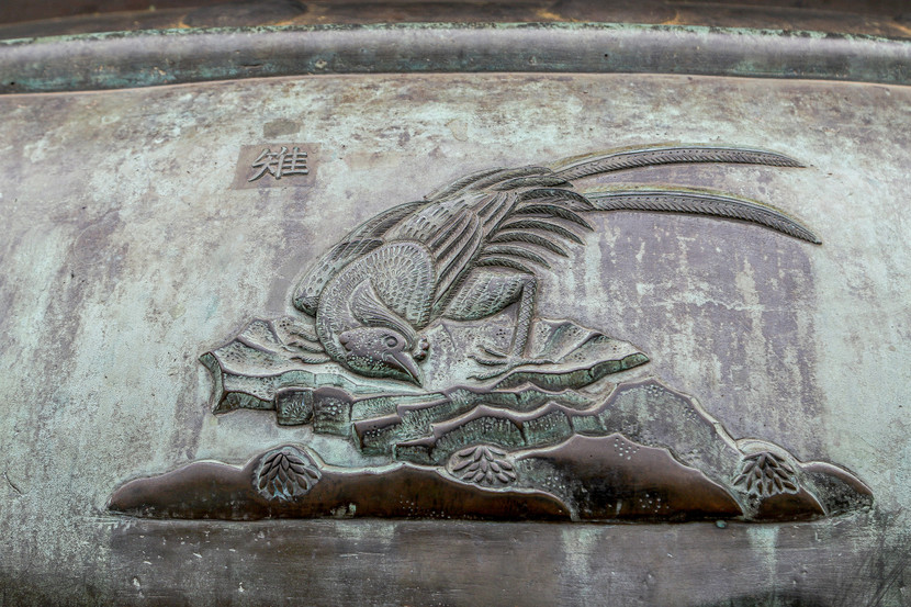 Hình ảnh chim trĩ trên đỉnh Hình ảnh chim trĩ trên đỉnh