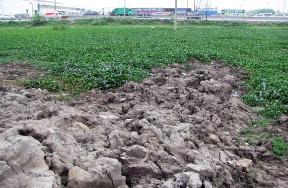 Đất, phế thải xây dựng đổ tràn ngay đầu đường Hải Bối Đất, phế thải xây dựng đổ tràn ngay đầu đường Hải Bối