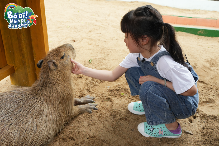 Bào Ngư (tên thật Khả Doanh, 5 tuổi)
