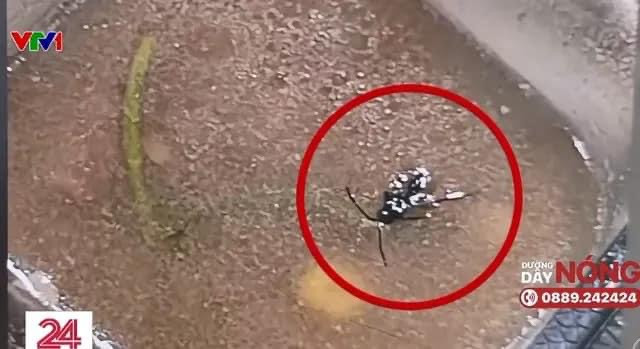 Dư luận bức xúc với thức ăn có dị vật trong thời gian học Giáo dục quốc phòng an ninh