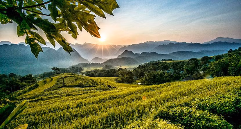 Cánh đồng Pù Luông - Bá Thước, Thanh Hóa