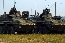 Ukraine có cơ hội nhận hàng loạt thiết giáp Stryker nếu Ba Lan từ chối?